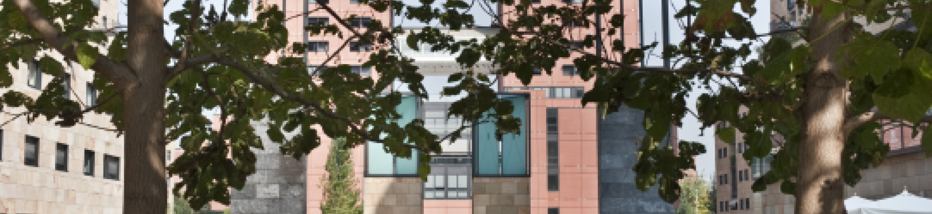 Bicocca